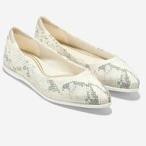 NWT Grand Ambition Skimmer pointed flat 5